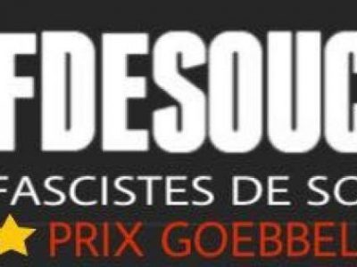 Détournement logo Fdesouche