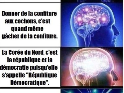 meme inversion accusatoire 