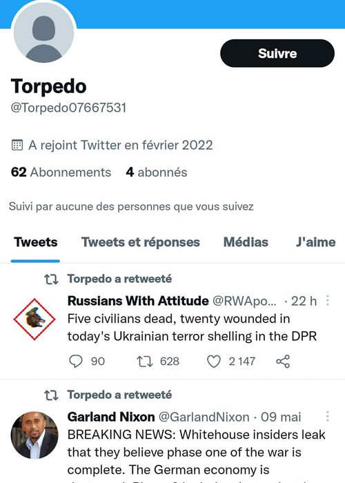 capture faux compte twitter pro-russe