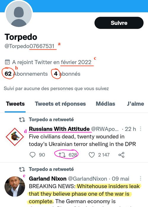 Capture commentée faux profil pro-russe