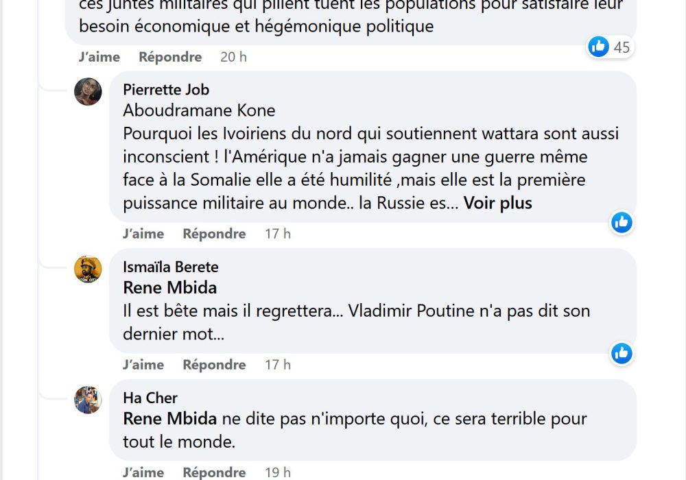 capture facebook commentaires RT Afrique