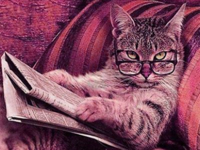 professeur débéka chat debunker