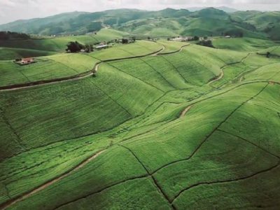 Le 7avril 1994 débute le génocide qui fera environ 800 000 morts tutsis. Ce n'est pas un coup de tonnerre dans un ciel serein. Tous les engrenages s'étaient mis peu à peu mis en place durant tout le XXème siècle. Et les feux précurseurs se sont allumés dès la fin des années 50. Tout commence avec l'arrivée des Père blancs vers 1900...