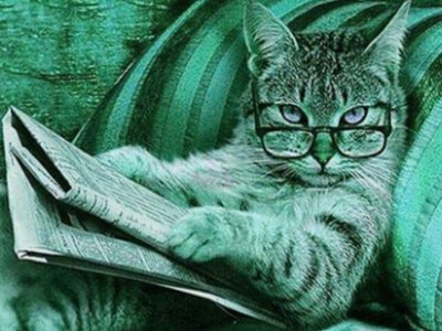 image professeur débéka vert