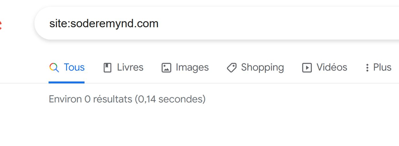 capture recherche google
