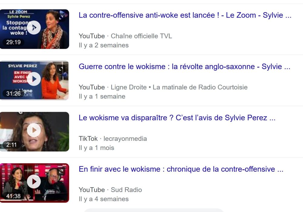 capture google saearch sylvie perez vidéos