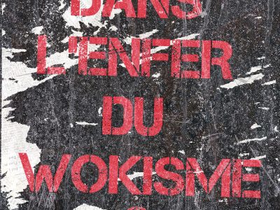 illustration enfer du wokisme - debunkers