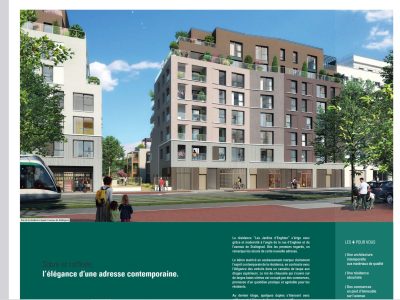 brochure kaufmann & borad
