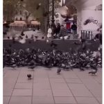 capture vidéo 4