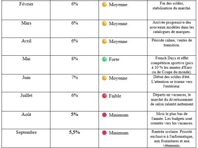 Ventes écran plat sur l'année 2024